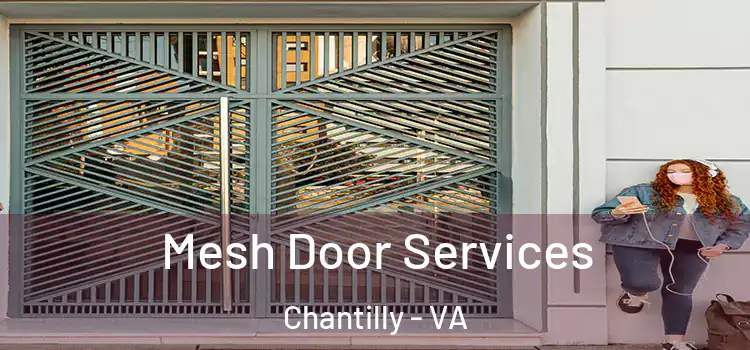 Mesh Door Services Chantilly - VA